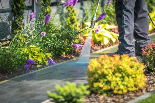 Best Gutter Cleaning  in Dillsboro, IN
