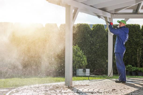 Best Patio and Deck Pressure Washing  in Dillsboro, IN