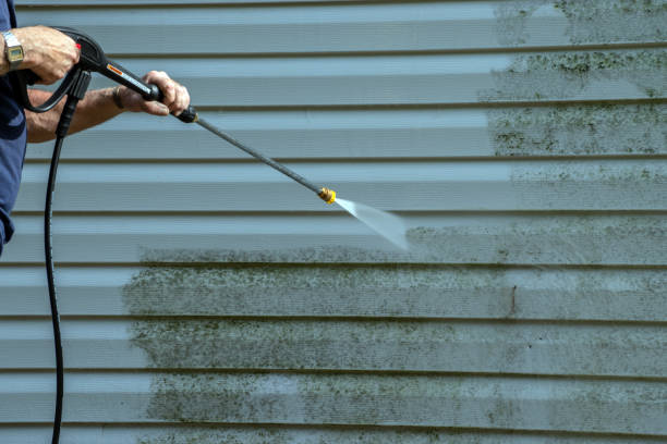 Best Roof Washing  in Dillsboro, IN